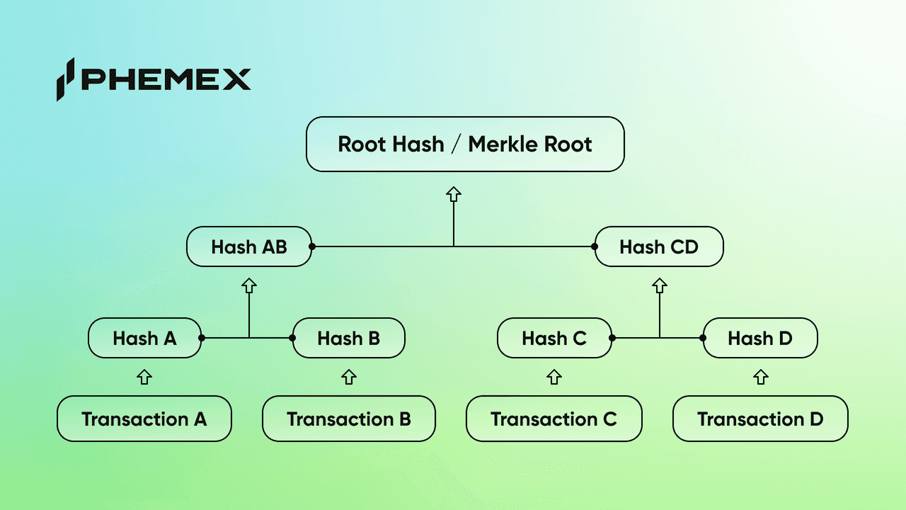 Root hash/ Merkle Root