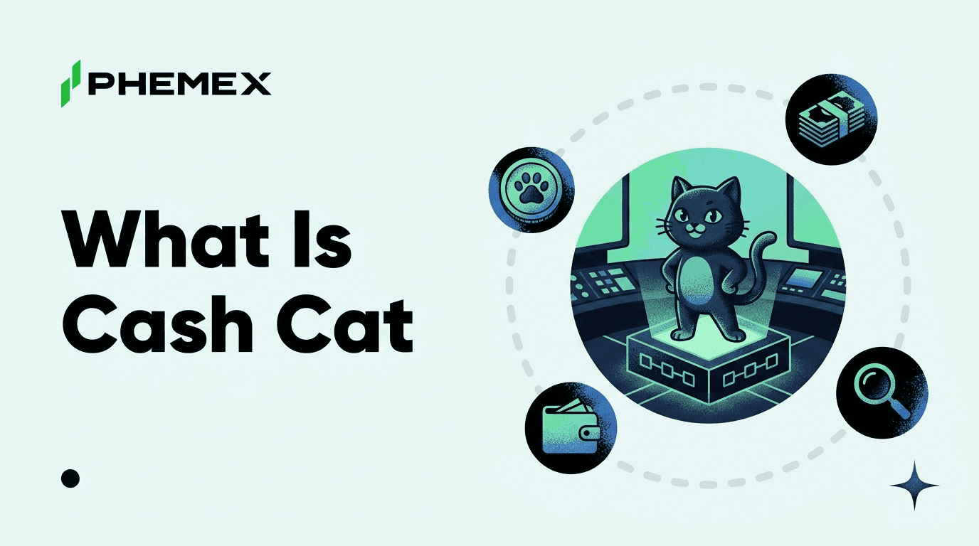 What Is Cash Cat (CASHCAT)? The Robinhood Chain Meme Coin Explained