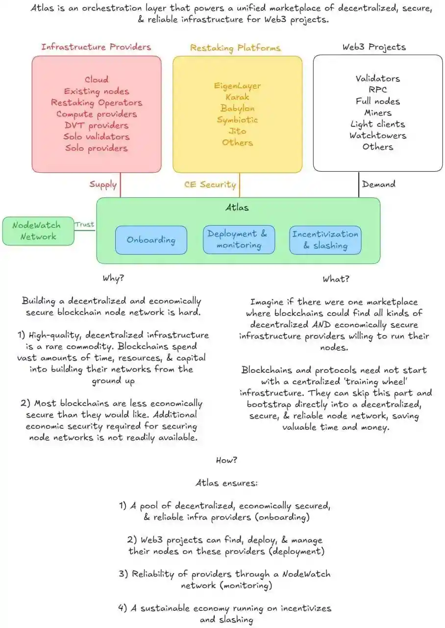 NODE ecosystem participants