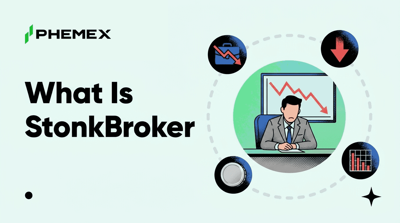 Guide : StonkBroker, Chute de 51% du Robinhood Chain Token – Analyse