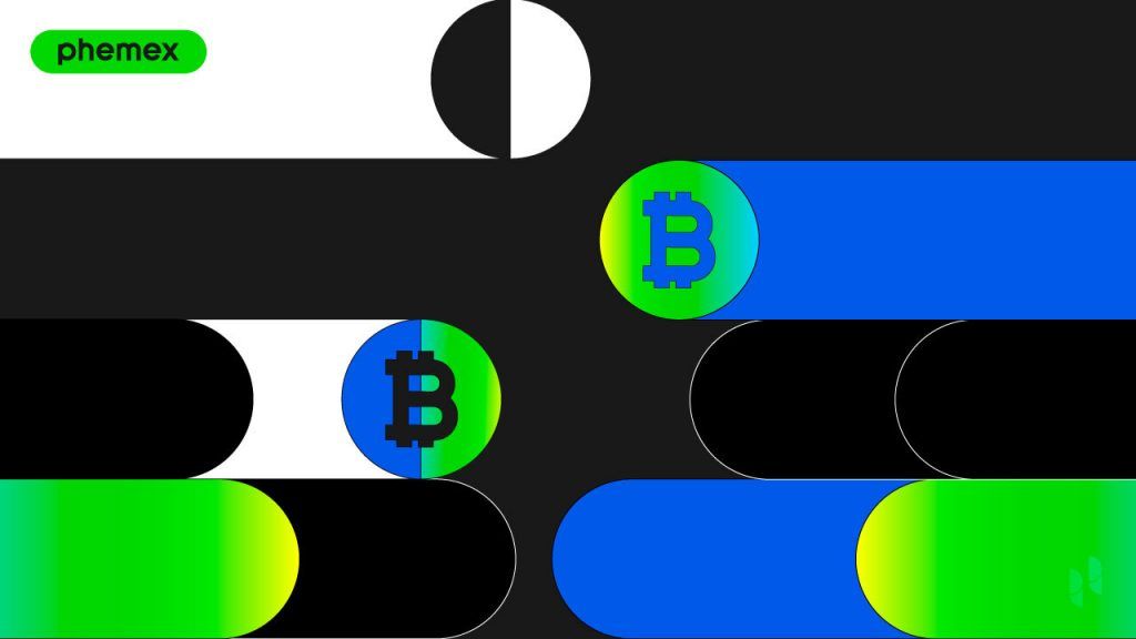 Guia de Transação Bitcoin: Componentes, Verificação e Privacidade