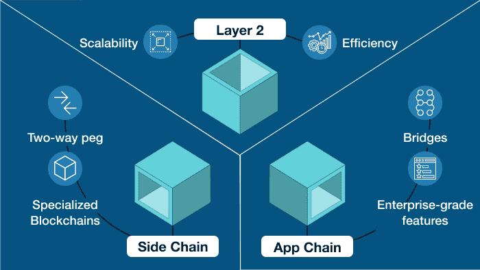 레이어2 네트워크 vs 사이드체인, 앱체인