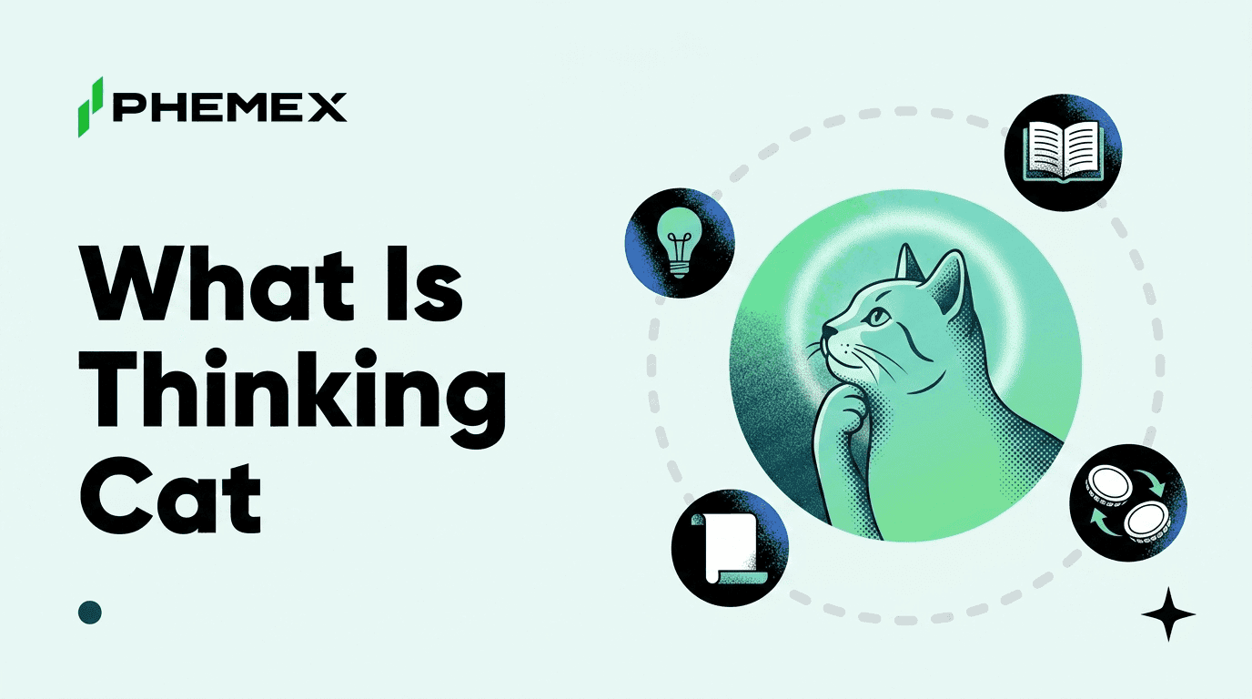 What Is Thinking Cat (HMM) and Why an Ownerless Token Can Still Fail