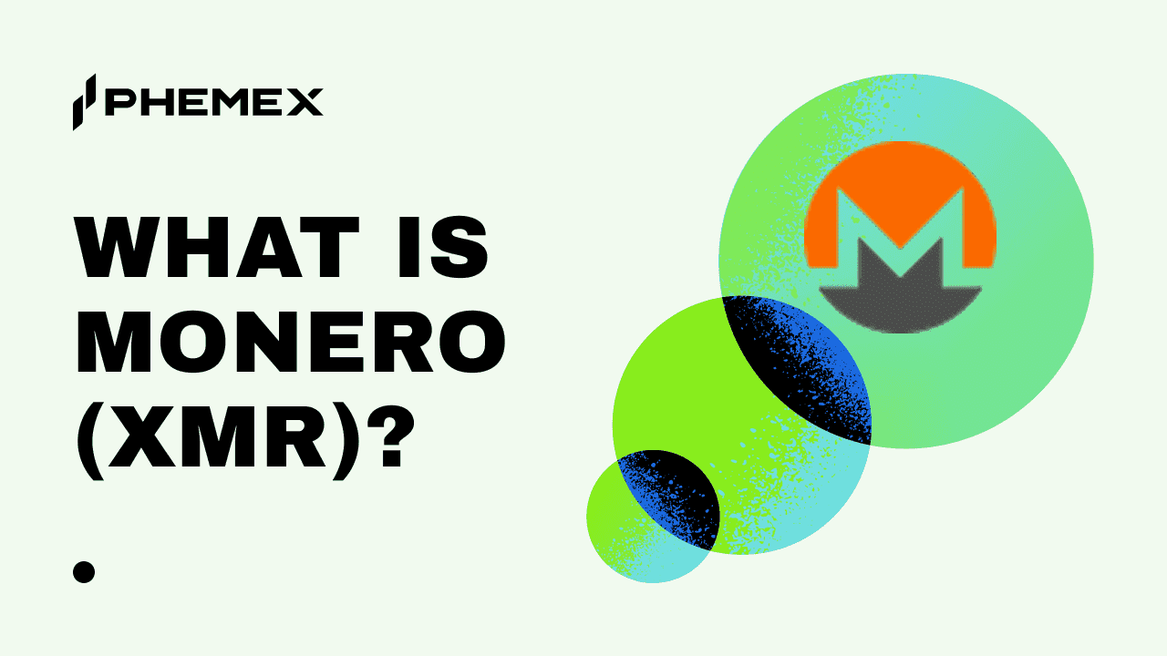 Monero (XMR) Explained: The Privacy Coin, Its Technology, and Why It Divides Regulators