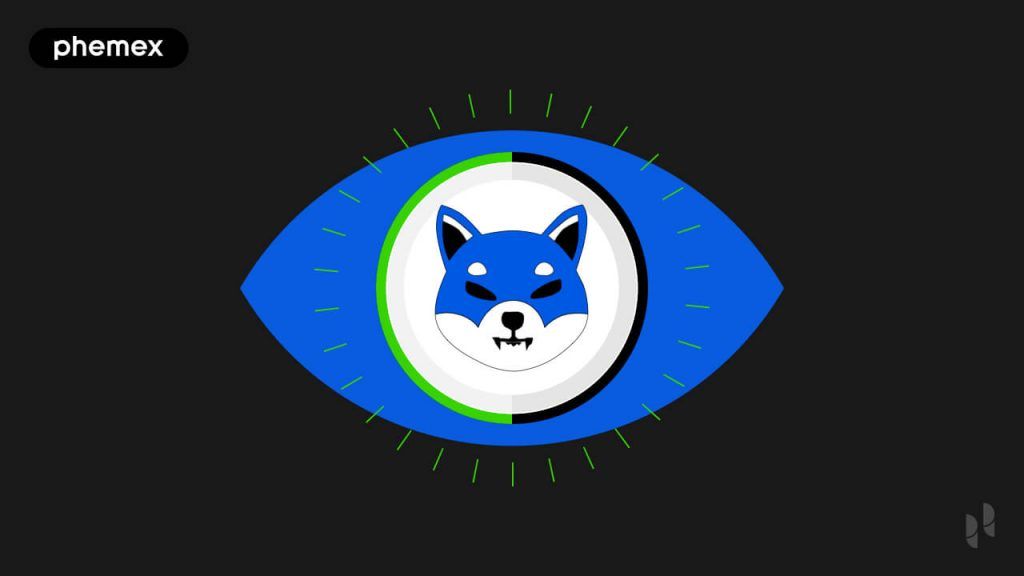 Что такое Shibarium: доставит ли он SHIB на Луну?