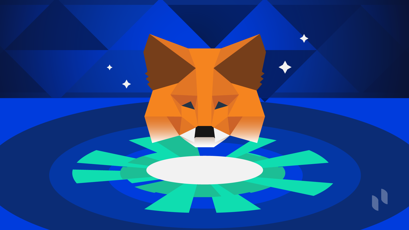 why cant i see metamask