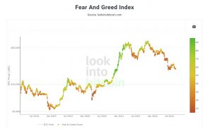 Fear and Greed Index: The How-to Guide - Phemex Academy