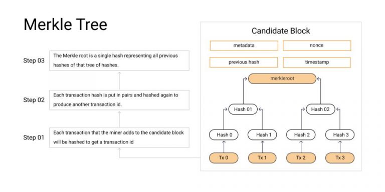What is Merkle Tree and merkle root in Blockchain? - Phemex Academy