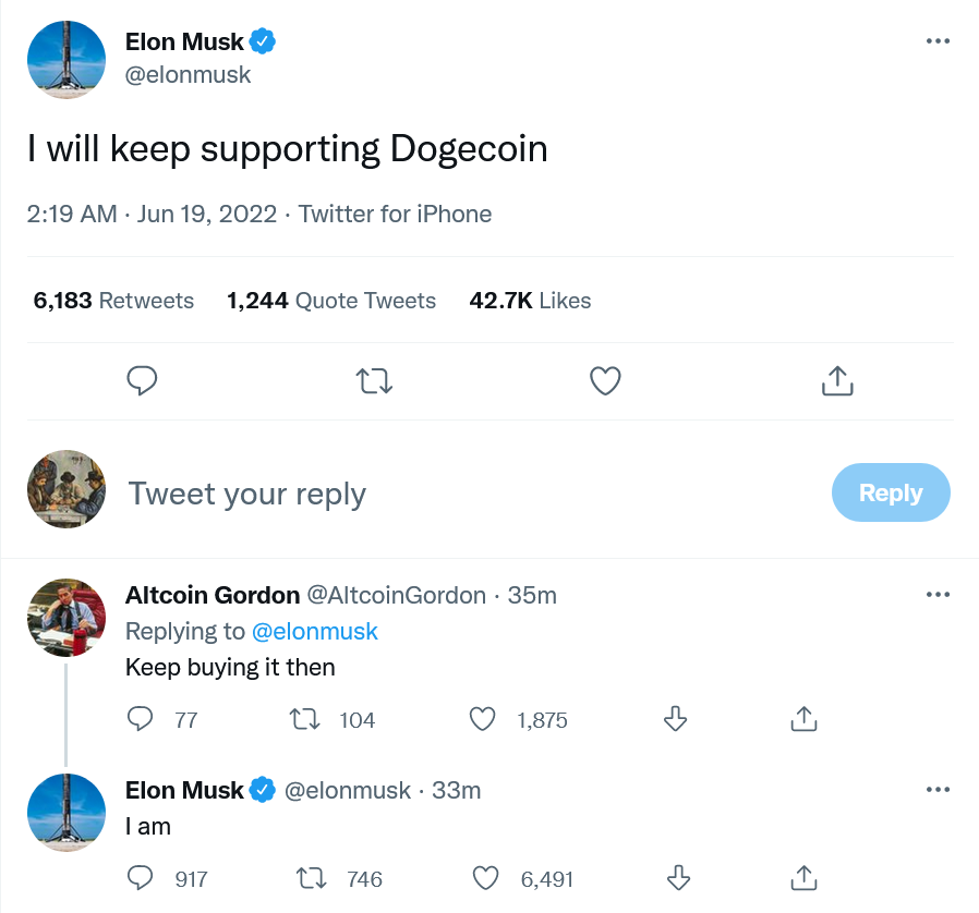 Elon Musk Doge Support